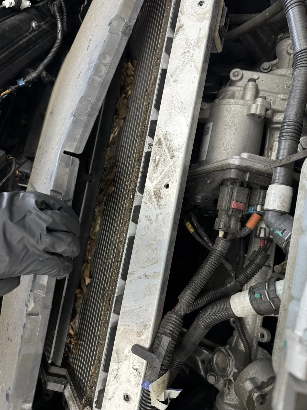 Gloved hand pulling dead leaves out of the gap in front of a Tesla's condenser/radiator